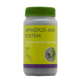 APHIDIUS-MIX SYSTEM 2 (APHIDIUS COLEMANI / ERVI)