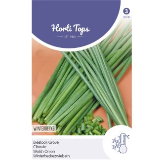 PAKJE BIESLOOK GROVE (HORTI TOPS)