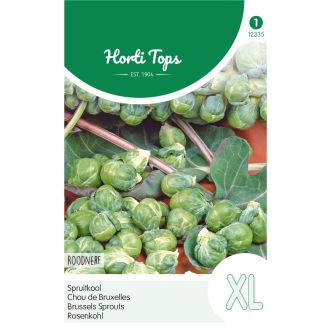 PAKJE SPRUITKOOL ROODNERF (HORTI TOPS)