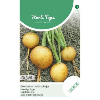 RAPEN/KNOLLEN GOUDBAL, RONDE GELE HERFST NR. 640
