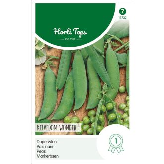 DOPERWTEN KELVEDON'S WONDER, LAGE GROENE, 35 CM. NR. 260