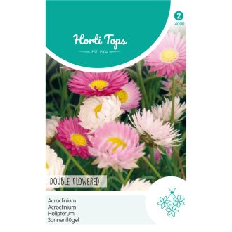 PAKJE ACROCLINIUM DUBBELBLOEMIG GEMENGD (HORTI TOPS)