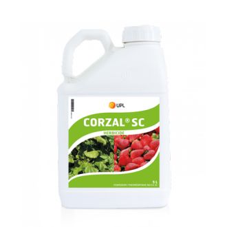 CORZAL SE 5 LTR. (12918N)