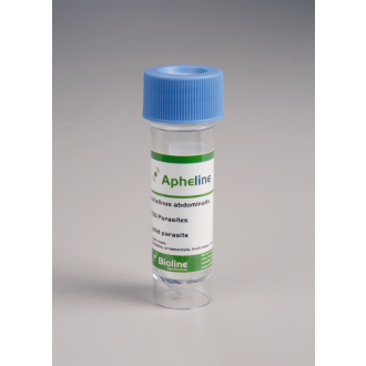 APHELINUS ABDOMINALIS (250 ST. FLESJE) 020402-001