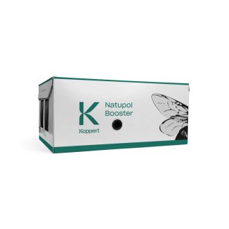 HOMMELS (NATUPOL BOOSTER)