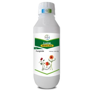 LUNA PRIVILEGE SC500 (1LTR.) (13832N)