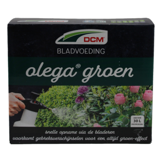 OLEGA GROEN (2X250 ML.)