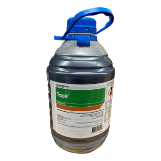 TAPIR 5 LTR. (15258N)